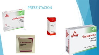 PRESENTACION
 