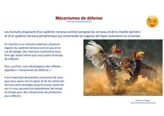 Mécanismes de défense
vu par alain.ducass@energeTIC.fr
Les humains disposent d’un système nerveux central composé du cerveau et de la moelle épinière
et d’un système nerveux périphérique qui commande les organes de façon autonome ou viscérale.
Sources de l’image !
https://animalwellnessaction.org/
En réaction à un stimulus extérieur plusieurs
régions du système nerveux sont en jeu et en
cas de danger, des réactions instinctives nous
font agir avant même que nous ayons le temps
de réfléchir.
Pour survivre, nous développons des réflexes
appelées « mécanismes de défense »
Il est important de prendre conscience de ceux
que nous avons mis en place et de les remercier
de nous avoir protégés jusqu’à ce jour, avant de
voir si nous pouvons les abandonner de temps
en temps pour des mécanismes de protection
plus réfléchis
 