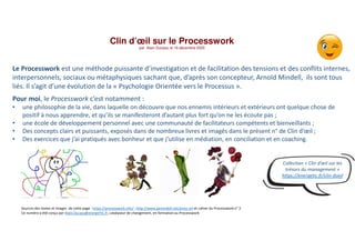 Clin d’œil sur le Processwork
par Alain Ducass, le 16 décembre 2020
Le Processwork est une méthode puissante d’investigati...
