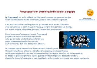 Processwork en coaching individuel et d’équipe
Le Processwork est un formidable outil de travail pour une personne en tens...