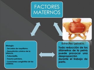 FACTORES
MATERNOS
Estrechez pélvica:
Toda reducción de los
diámetros de la pelvis
puede provocar una
desproporción
durante el trabajo de
parto.
Etiología:
- Secuelas de raquitismo.
- Desnutrición crónica de la
infancia.
- Poliomielitis.
- Trauma pelviano.
- Luxaciones congénitas de las
caderas.
 