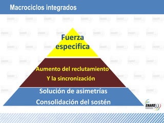 Macrociclos integrados
Fuerza
especifica
Aumento del reclutamiento
Y la sincronización
Solución de asimetrías
Consolidación del sostén
 