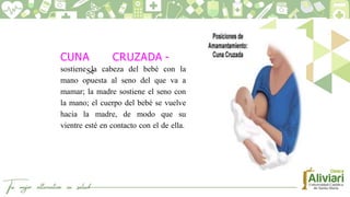CUNA CRUZADA -
Se
sostiene la cabeza del bebé con la
mano opuesta al seno del que va a
mamar; la madre sostiene el seno con
la mano; el cuerpo del bebé se vuelve
hacia la madre, de modo que su
vientre esté en contacto con el de ella.
 