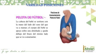 PELOTA DE FÚTBOL -
La cabeza del bebé se sostiene con
la mano del lado del seno del que
va a mamar; el cuerpo del bebé se
apoya sobre una almohada y queda
debajo del brazo del mismo lado
que se va a amamantar.
 