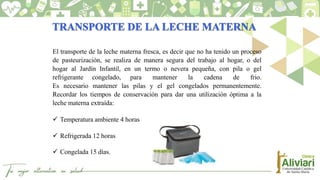 El transporte de la leche materna fresca, es decir que no ha tenido un proceso
de pasteurización, se realiza de manera segura del trabajo al hogar, o del
hogar al Jardín Infantil, en un termo o nevera pequeña, con pila o gel
refrigerante congelado, para mantener la cadena de frio.
Es necesario mantener las pilas y el gel congelados permanentemente.
Recordar los tiempos de conservación para dar una utilización óptima a la
leche materna extraída:
 Temperatura ambiente 4 horas
 Refrigerada 12 horas
 Congelada 15 días.
 