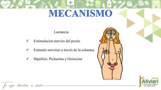 Lactancia:
 Estimulacion nervios del pezón.
 Estimulo nervioso a través de la columna
 Hipófisis: Prolactina y Oxitocina
 