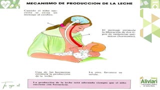 Clinica Aliviari Lactancia Materna.pptx