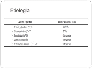 Etiologia El VEB pertenece a la familia Herpesviridae (DNA). Comparte con los otros virus de esta familia las características de ser un virus persistente y de ocasionar infección latente. El VEB tiene tropismo por los linfocitos B y las células del epitelio oral. Se replica en el sistema linforreticular y provoca una intensa respuesta inmune. La infección latente ocurre en los linfocitos B. Otro foco potencial de infección por VEB es el tracto genital. Puede reactivarse en períodos de inmunodepresión.