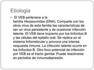 Normalmente la llamada enfermedad del beso, se transmite principalmente por las secreciones orales (saliva) o intercambio de saliva, a través de besos (dato poco conocido), al beber del mismo vaso o de la misma botella, compartir comida, compartir bebidas, etc. Se han descrito episodios epidémicos en varias partes del mundo. El virus se elimina hasta 18 meses después de la infección primaria; luego se elimina intermitentemente durante toda la vida (en ausencia de enfermedad clínica).