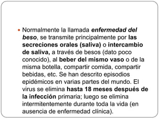 Es común en todas partes del mundo, con mas de 90% de adultos que son seropositivos.En regiones en desarrollo, las infecciones se presentan en el comienzo de la vida.Mas de 90% de niños están infectados a la edad de 6.EPIDEMIOLOGIA