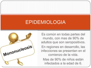  estimándose que hasta el 95% de los adultos entre 35 y 40 años han sido infectados. Los niños se hacen susceptibles tan pronto como desaparece la protección de anticuerpos maternos. La mononucleosis infecciosa es, por regla general, una enfermedad de jóvenes. En los grupos socioeconómicos menos favorecidos y zonas del tercer mundo, la enfermedad suele afectar a los niños, mientras que las áreas con mejores estándares sanitarios la enfermedad se contráe mas tarde.