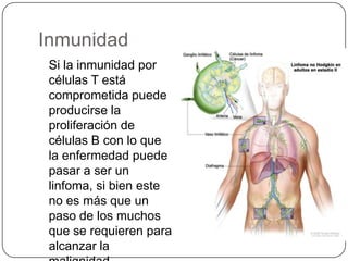 Cuadro ClínicoPERIODO DE INCUBACION  30 a 50 días.CefaleaFiebreMalestar generalDolor de garganta.Inflamación de los ganglios linfáticos, especialmente en el cuello y la axila.