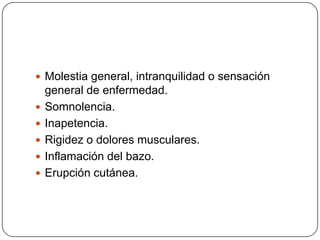 Incremento de numero de leucocitos circulantes (linfocitos)Linfocitos T atípicos grandesLa fiebre y malestar pueden persistir por semanas a mesesComplicaciones raras en huéspedes normales50% hepatoesplenomegalia5% exantema (ampicilina)Fase aguda: 5-7 díasResolución: 7-10 días (persisten fatiga y adenopatías)