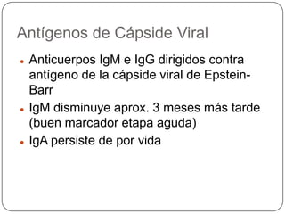 Citología: también puede identificar linfocitosis atípica significativa, definida como más de 10 por ciento del total de linfocitos. Anticuerpos heterófilosPrueba de aglutinación de heterófilos en portaobjetos
