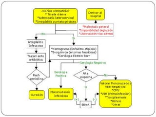 IgM disminuye aprox. 3 meses más tarde (buen marcador etapa aguda)