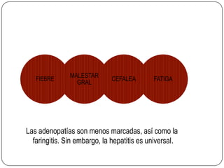 Anticuerpos en suero (IgA)