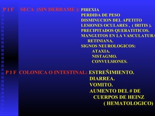 P I F SECA (SIN DERRAME ): PIREXIA
PERDIDA DE PESO
DISMINUCION DEL APETITO
LESIONES OCULARES , ( IRITIS ).
PRECIPITADOS QUERATITICOS.
MANGUITOS EN LA VASCULATURA
RETINIANA.
SIGNOS NEUROLOGICOS:
ATAXIA.
NISTAGMO.
CONVULSIONES.
P I F COLONICA O INTESTINAL: ESTREÑIMIENTO.
DIARREA.
VOMITO.
AUMENTO DEL # DE
CUERPOS DE HEINZ
( HEMATOLOGICO)
 