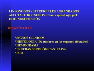LINFONODOS SUPERFICIALES AGRANDADOS
AFECTA OTROS SITIOS: Canal espinal, ojo, piel.
INMUNOSUPRESIÓN
DIAGNÓSTICO:
*SIGNOS CLÍNICOS
*HISTOLOGÍA (De tumores en los organos afectados)
*HEMOGRAMA
*PRUEBAS SEROLÓGICAS: ELISA
*PCR
 