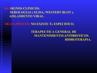 Dx: SIGNOS CLINICOS.
SEROLOGIAS ( ELISA, WESTERN BLOT ).
AISLAMIENTO VIRAL.
TRATAMIENTO: NO EXISTE Tx ESPECIFICO.
TERAPEUTICA GENERAL DE
MANTENIMIENTO:ANTIBIOTICOS.
HIDROTERAPIA.
 