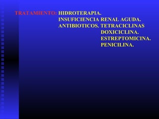 TRATAMIENTO: HIDROTERAPIA.
INSUFICIENCIA RENAL AGUDA.
ANTIBIOTICOS. TETRACICLINAS
DOXICICLINA.
ESTREPTOMICINA.
PENICILINA.
 