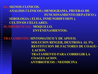 Dx: SIGNOS CLINICOS.
ANALISIS CLINICOS ( HEMOGRAMA, PRUEBAS DE
FUNCIONAMIENTO HEPATICO ).
SEROLOGIA ( ELISA, INMUNODIFUSION ).
CULTIVOS CELULARES.
Dx DIFERENCIAL: MOQUILLO.
ENVENENAMIENTOS.
TRATAMIENTO: SINTOMATICO Y DE APOYO.
SOLUCION RINGER, DEXTROSA AL 5%
RESTITUCION DE FACTORES DE COAGU-
LACION.
TRATAMIENTO PARA CORREGIR LA
COAGULACION.
ANTIBIOTICOS : NEOMICINA
 