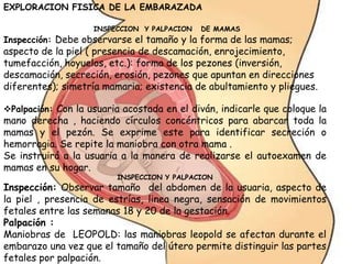 EXPLORACION FISICA DE LA EMBARAZADA
INSPECCION Y PALPACION DE MAMAS
Inspección: Debe observarse el tamaño y la forma de las mamas;
aspecto de la piel ( presencia de descamación, enrojecimiento,
tumefacción, hoyuelos, etc.): forma de los pezones (inversión,
descamación, secreción, erosión, pezones que apuntan en direcciones
diferentes); simetría mamaria; existencia de abultamiento y pliegues.
Palpación: Con la usuaria acostada en el diván, indicarle que coloque la
mano derecha , haciendo círculos concéntricos para abarcar toda la
mamas y el pezón. Se exprime este para identificar secreción o
hemorragia. Se repite la maniobra con otra mama .
Se instruirá a la usuaria a la manera de realizarse el autoexamen de
mamas en su hogar.
INSPECCION Y PALPACION
Inspección: Observar tamaño del abdomen de la usuaria, aspecto de
la piel , presencia de estrías, linea negra, sensación de movimientos
fetales entre las semanas 18 y 20 de la gestación.
Palpación :
Maniobras de LEOPOLD: las maniobras leopold se afectan durante el
embarazo una vez que el tamaño del útero permite distinguir las partes
fetales por palpación.
 
