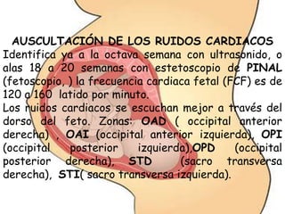 AUSCULTACIÓN DE LOS RUIDOS CARDIACOS
Identifica ya a la octava semana con ultrasonido, o
alas 18 a 20 semanas con estetoscopio de PINAL
(fetoscopio, ) la frecuencia cardiaca fetal (FCF) es de
120 a 160 latido por minuto.
Los ruidos cardiacos se escuchan mejor a través del
dorso del feto. Zonas: OAD ( occipital anterior
derecha) , OAI (occipital anterior izquierda), OPI
(occipital posterior izquierda),OPD (occipital
posterior derecha), STD (sacro transversa
derecha), STI( sacro transversa izquierda).
 