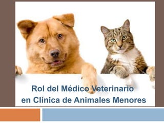 Rol del Médico Veterinario
en Clínica de Animales Menores

 