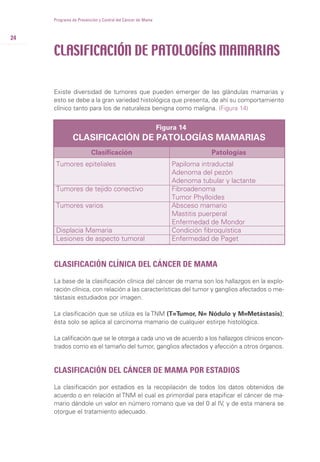 24
Programa de Prevención y Control del Cáncer de Mama
Existe diversidad de tumores que pueden emerger de las glándulas mamarias y
esto se debe a la gran variedad histológica que presenta, de ahí su comportamiento
clínico tanto para los de naturaleza benigna como maligna. (Figura 14)
CLASIFICACIÓN DE PATOLOGÍAS MAMARIAS
CLASIFICACIÓN CLÍNICA DEL CÁNCER DE MAMA
La base de la clasificación clínica del cáncer de mama son los hallazgos en la explo-
ración clínica, con relación a las características del tumor y ganglios afectados o me-
tástasis estudiados por imagen.
La clasificación que se utiliza es la TNM (T=Tumor, N= Nódulo y M=Metástasis);
ésta solo se aplica al carcinoma mamario de cualquier estirpe histológica.
La calificación que se le otorga a cada uno va de acuerdo a los hallazgos clínicos encon-
trados como es el tamaño del tumor, ganglios afectados y afección a otros órganos.
CLASIFICACIÓN DEL CÁNCER DE MAMA POR ESTADIOS
La clasificación por estadios es la recopilación de todos los datos obtenidos de
acuerdo o en relación al TNM el cual es primordial para etapificar el cáncer de ma-
mario dándole un valor en número romano que va del 0 al IV, y de esta manera se
otorgue el tratamiento adecuado.
Figura 14
CLASIFICACIÓN DE PATOLOGÍAS MAMARIAS
Clasificación
Tumores epiteliales
Tumores de tejido conectivo
Tumores varios
Displacia Mamaria
Lesiones de aspecto tumoral
Papiloma intraductal
Adenoma del pezón
Adenoma tubular y lactante
Fibroadenoma
Tumor Phylloides
Absceso mamario
Mastitis puerperal
Enfermedad de Mondor
Condición fibroquística
Enfermedad de Paget
Patologías
 