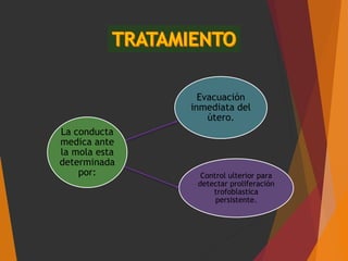 La conducta
medica ante
la mola esta
determinada
por:
Evacuación
inmediata del
útero.
Control ulterior para
detectar proliferación
trofoblastica
persistente.
 
