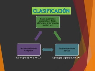 Según ausencia o
presencia de feto o
elementos embrionarios
pueden ser:
Mola Hidratiforme
parcial
Mola Hidratiforme
Completa
cariotipo 46 XX o 46 XY cariotipo triploide, 69 XXY
 
