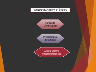 MANIFESTACIONES CLÍNICAS
Sangrado
transvaginal
Altura uterina
desproporcionada
Preeclampsia
Eclampsia
 