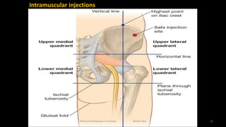 clinical-anatomy-of-the-lower-limb-140902094941-phpapp01.pdf