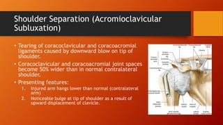 Sublux Ex Clinical-Anatomy-of-the-Upper-Limb.pdf