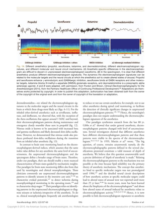 Clinical electroencephalography-for-anesthesiologists | PDF