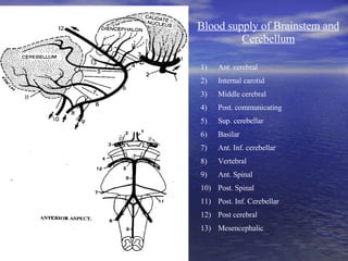 Blood supply of Brainstem and Cerebellum <ul><li>Ant. cerebral </li></ul><ul><li>Internal carotid </li></ul><ul><li>Middle...