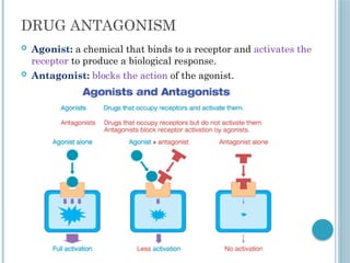 Clinical Toxicology- Drug antagonism and drug synergism | PPTX