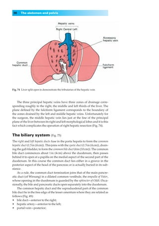 98    The abdomen and pelvis




Fig. 74◊Liver split open to demonstrate the tributaries of the hepatic vein.



    The three principal hepatic veins have three zones of drainage corre-
sponding roughly to the right, the middle and left thirds of the liver. The
plane deﬁned by the falciform ligament corresponds to the boundary of
the zones drained by the left and middle hepatic veins. Unfortunately for
the surgeon, the middle hepatic vein lies just at the line of the principal
plane of the liver between its right and left morphological lobes and it is this
fact which complicates the operation of right hepatic resection (Fig. 74).


The biliary system (Fig. 75)
The right and left hepatic ducts fuse in the porta hepatis to form the common
hepatic duct (1.5 in (4 cm)). This joins with the cystic duct (1.5 in (4 cm)), drain-
ing the gall-bladder, to form the common bile duct (4 in (10 cm)). The common
bile duct commences about 1 in (4 cm) above the duodenum, then passes
behind it to open at a papilla on the medial aspect of the second part of the
duodenum. In this course the common duct lies either in a groove in the
posterior aspect of the head of the pancreas or is actually buried in its sub-
stance.
    As a rule, the common duct termination joins that of the main pancre-
atic duct (of Wirsung) in a dilated common vestibule, the ampulla of Vater,
whose opening in the duodenum is guarded by the sphincter of Oddi. Occa-
sionally, the bile and pancreatic ducts open separately into the duodenum.
    The common hepatic duct and the supraduodenal part of the common
bile duct lie in the free edge of the lesser omentum where they are related as
follows (Fig. 49):
•◊◊bile duct—anterior to the right;
•◊◊hepatic artery—anterior to the left;
•◊◊portal vein—posterior;
 