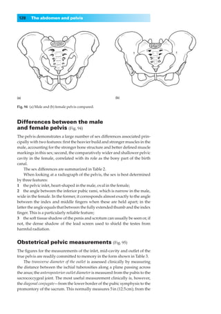 128    The abdomen and pelvis




Fig. 94 (a) Male and (b) female pelvis compared.



Differences between the male
and female pelvis (Fig. 94)
The pelvis demonstrates a large number of sex differences associated prin-
cipally with two features: ﬁrst the heavier build and stronger muscles in the
male, accounting for the stronger bone structure and better deﬁned muscle
markings in this sex; second, the comparatively wider and shallower pelvic
cavity in the female, correlated with its role as the bony part of the birth
canal.
    The sex differences are summarized in Table 2.
    When looking at a radiograph of the pelvis, the sex is best determined
by three features:
1◊◊the pelvic inlet, heart-shaped in the male, oval in the female;
2◊◊the angle between the inferior pubic rami, which is narrow in the male,
wide in the female. In the former, it corresponds almost exactly to the angle
between the index and middle ﬁngers when these are held apart; in the
latter the angle equals that between the fully extended thumb and the index
ﬁnger. This is a particularly reliable feature;
3◊◊the soft tissue shadow of the penis and scrotum can usually be seen or, if
not, the dense shadow of the lead screen used to shield the testes from
harmful radiation.


Obstetrical pelvic measurements (Fig. 95)
The ﬁgures for the measurements of the inlet, mid-cavity and outlet of the
true pelvis are readily committed to memory in the form shown in Table 3.
    The transverse diameter of the outlet is assessed clinically by measuring
the distance between the ischial tuberosities along a plane passing across
the anus; the anteroposterior outlet diameter is measured from the pubis to the
sacrococcygeal joint. The most useful measurement clinically is, however,
the diagonal conjugate— from the lower border of the pubic symphysis to the
promontory of the sacrum. This normally measures 5 in (12.5 cm); from the
 