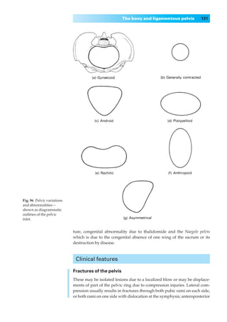 The bony and ligamentous pelvis             131




Fig. 96 Pelvic variations
and abnormalities —
shown as diagrammatic
outlines of the pelvic
inlet.


                            ture, congenital abnormality due to thalidomide and the Naegele pelvis
                            which is due to the congenital absence of one wing of the sacrum or its
                            destruction by disease.



                             Clinical features

                            Fractures of the pelvis
                            These may be isolated lesions due to a localized blow or may be displace-
                            ments of part of the pelvic ring due to compression injuries. Lateral com-
                            pression usually results in fractures through both pubic rami on each side,
                            or both rami on one side with dislocation at the symphysis; anteroposterior
 