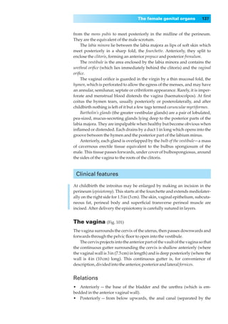 The female genital organs             137


from the mons pubis to meet posteriorly in the midline of the perineum.
They are the equivalent of the male scrotum.
    The labia minora lie between the labia majora as lips of soft skin which
meet posteriorly in a sharp fold, the fourchette. Anteriorly, they split to
enclose the clitoris, forming an anterior prepuce and posterior frenulum.
    The vestibule is the area enclosed by the labia minora and contains the
urethral oriﬁce (which lies immediately behind the clitoris) and the vaginal
oriﬁce.
    The vaginal oriﬁce is guarded in the virgin by a thin mucosal fold, the
hymen, which is perforated to allow the egress of the menses, and may have
an annular, semilunar, septate or cribriform appearance. Rarely, it is imper-
forate and menstrual blood distends the vagina (haematocolpos). At ﬁrst
coitus the hymen tears, usually posteriorly or posterolaterally, and after
childbirth nothing is left of it but a few tags termed carunculae myrtiformes.
    Bartholin’s glands (the greater vestibular glands) are a pair of lobulated,
pea-sized, mucus-secreting glands lying deep to the posterior parts of the
labia majora. They are impalpable when healthy but become obvious when
inﬂamed or distended. Each drains by a duct 1 in long which opens into the
groove between the hymen and the posterior part of the labium minus.
    Anteriorly, each gland is overlapped by the bulb of the vestibule— a mass
of cavernous erectile tissue equivalent to the bulbus spongiosum of the
male. This tissue passes forwards, under cover of bulbospongiosus, around
the sides of the vagina to the roots of the clitoris.



 Clinical features

At childbirth the introitus may be enlarged by making an incision in the
perineum (episiotomy). This starts at the fourchette and extends mediolater-
ally on the right side for 1.5 in (3 cm). The skin, vaginal epithelium, subcuta-
neous fat, perineal body and superﬁcial transverse perineal muscle are
incised. After delivery the episiotomy is carefully sutured in layers.


The vagina (Fig. 101)
The vagina surrounds the cervix of the uterus, then passes downwards and
forwards through the pelvic ﬂoor to open into the vestibule.
    The cervix projects into the anterior part of the vault of the vagina so that
the continuous gutter surrounding the cervix is shallow anteriorly (where
the vaginal wall is 3 in (7.5 cm) in length) and is deep posteriorly (where the
wall is 4 in (10 cm) long). This continuous gutter is, for convenience of
description, divided into the anterior, posterior and lateral fornices.


Relations
•◊◊Anteriorly — the base of the bladder and the urethra (which is em-
bedded in the anterior vaginal wall).
•◊◊Posteriorly — from below upwards, the anal canal (separated by the
 