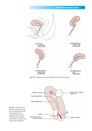 The female genital organs   141




                             Fig. 103◊Variations in uterine position and their terminology.




Fig. 104◊Lateral view of
the uterus (schematic) to
show composition of the
broad ligament, the
relations of ureter and
uterine artery, and the
peritoneal covering of the
uterus (pink stippled).
 