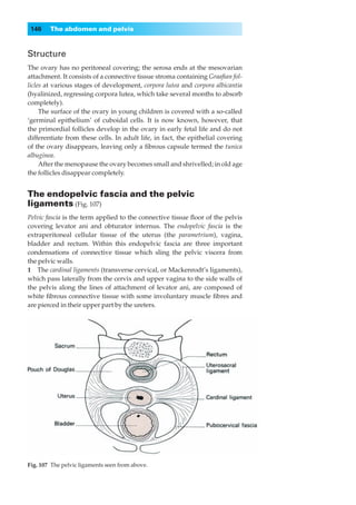 146    The abdomen and pelvis


Structure
The ovary has no peritoneal covering; the serosa ends at the mesovarian
attachment. It consists of a connective tissue stroma containing Graaﬁan fol-
licles at various stages of development, corpora lutea and corpora albicantia
(hyalinized, regressing corpora lutea, which take several months to absorb
completely).
     The surface of the ovary in young children is covered with a so-called
‘germinal epithelium’ of cuboidal cells. It is now known, however, that
the primordial follicles develop in the ovary in early fetal life and do not
differentiate from these cells. In adult life, in fact, the epithelial covering
of the ovary disappears, leaving only a ﬁbrous capsule termed the tunica
albuginea.
     After the menopause the ovary becomes small and shrivelled; in old age
the follicles disappear completely.


The endopelvic fascia and the pelvic
ligaments (Fig. 107)
Pelvic fascia is the term applied to the connective tissue ﬂoor of the pelvis
covering levator ani and obturator internus. The endopelvic fascia is the
extraperitoneal cellular tissue of the uterus (the parametrium), vagina,
bladder and rectum. Within this endopelvic fascia are three important
condensations of connective tissue which sling the pelvic viscera from
the pelvic walls.
1◊◊The cardinal ligaments (transverse cervical, or Mackenrodt’s ligaments),
which pass laterally from the cervix and upper vagina to the side walls of
the pelvis along the lines of attachment of levator ani, are composed of
white ﬁbrous connective tissue with some involuntary muscle ﬁbres and
are pierced in their upper part by the ureters.




Fig. 107◊The pelvic ligaments seen from above.
 