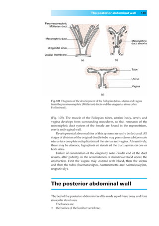 The posterior abdominal wall              149




Fig. 108◊Diagrams of the development of the Fallopian tubes, uterus and vagina
from the paramesonephric (Müllerian) ducts and the urogenital sinus (after
Hollinshead).


(Fig. 105). The muscle of the Fallopian tubes, uterine body, cervix and
vagina develops from surrounding mesoderm, so that remnants of the
mesonephric duct system of the female are found in the myometrium,
cervix and vaginal wall.
    Developmental abnormalities of this system can easily be deduced. All
stages of division of the original double tube may persist from a bicornuate
uterus to a complete reduplication of the uterus and vagina. Alternatively,
there may be absence, hypoplasia or atresia of the duct system on one or
both sides.
    Failure of canalization of the originally solid caudal end of the duct
results, after puberty, in the accumulation of menstrual blood above the
obstruction. First the vagina may distend with blood, then the uterus
and then the tubes (haematocolpos, haematometra and haematosalpinx,
respectively).




The posterior abdominal wall

The bed of the posterior abdominal wall is made up of three bony and four
muscular structures.
   The bones are:
•◊◊the bodies of the lumbar vertebrae;
 