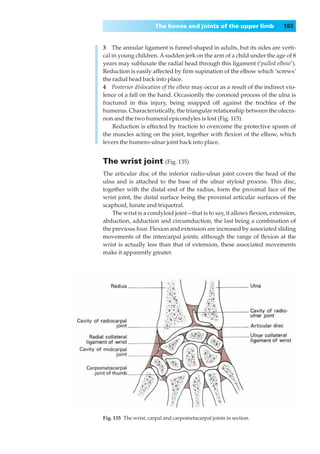 The bones and joints of the upper limb             183


3◊◊The annular ligament is funnel-shaped in adults, but its sides are verti-
cal in young children. A sudden jerk on the arm of a child under the age of 8
years may subluxate the radial head through this ligament (‘pulled elbow’).
Reduction is easily affected by ﬁrm supination of the elbow which ‘screws’
the radial head back into place.
4◊◊Posterior dislocation of the elbow may occur as a result of the indirect vio-
lence of a fall on the hand. Occasionlly the coronoid process of the ulna is
fractured in this injury, being snapped off against the trochlea of the
humerus. Characteristically, the triangular relationship between the olecra-
non and the two humeral epicondyles is lost (Fig. 115).
     Reduction is effected by traction to overcome the protective spasm of
the muscles acting on the joint, together with ﬂexion of the elbow, which
levers the humero-ulnar joint back into place.


The wrist joint (Fig. 135)
The articular disc of the inferior radio-ulnar joint covers the head of the
ulna and is attached to the base of the ulnar styloid process. This disc,
together with the distal end of the radius, form the proximal face of the
wrist joint, the distal surface being the proximal articular surfaces of the
scaphoid, lunate and triquetral.
    The wrist is a condyloid joint—that is to say, it allows ﬂexion, extension,
abduction, adduction and circumduction, the last being a combination of
the previous four. Flexion and extension are increased by associated sliding
movements of the intercarpal joints; although the range of ﬂexion at the
wrist is actually less than that of extension, these associated movements
make it apparently greater.




Fig. 135◊The wrist, carpal and carpometacarpal joints in section.
 