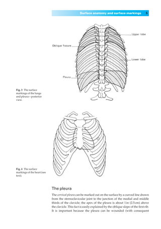 Surface anatomy and surface markings                   5




Fig. 3◊The surface
markings of the lungs
and pleura—posterior
view.




Fig. 4◊The surface
markings of the heart (see
text).




                             The pleura
                             The cervical pleura can be marked out on the surface by a curved line drawn
                             from the sternoclavicular joint to the junction of the medial and middle
                             thirds of the clavicle; the apex of the pleura is about 1 in (2.5 cm) above
                             the clavicle. This fact is easily explained by the oblique slope of the ﬁrst rib.
                             It is important because the pleura can be wounded (with consequent
 