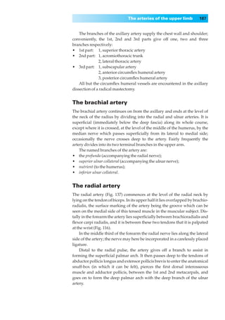 The arteries of the upper limb           187


    The branches of the axillary artery supply the chest wall and shoulder;
conveniently, the 1st, 2nd and 3rd parts give off one, two and three
branches respectively:
•◊◊1st part: 1, superior thoracic artery
•◊◊2nd part: 1, acromiothoracic trunk
               2, lateral thoracic artery
•◊◊3rd part: 1, subscapular artery
               2, anterior circumﬂex humeral artery
               3, posterior circumﬂex humeral artery
    All but the circumﬂex humeral vessels are encountered in the axillary
dissection of a radical mastectomy.


The brachial artery
The brachial artery continues on from the axillary and ends at the level of
the neck of the radius by dividing into the radial and ulnar arteries. It is
superﬁcial (immediately below the deep fascia) along its whole course,
except where it is crossed, at the level of the middle of the humerus, by the
median nerve which passes superﬁcially from its lateral to medial side;
occasionally the nerve crosses deep to the artery. Fairly frequently the
artery divides into its two terminal branches in the upper arm.
    The named branches of the artery are:
•◊◊the profunda (accompanying the radial nerve);
•◊◊superior ulnar collateral (accompanying the ulnar nerve);
•◊◊nutrient (to the humerus);
•◊◊inferior ulnar collateral.


The radial artery
The radial artery (Fig. 137) commences at the level of the radial neck by
lying on the tendon of biceps. In its upper half it lies overlapped by brachio-
radialis, the surface marking of the artery being the groove which can be
seen on the medial side of this tensed muscle in the muscular subject. Dis-
tally in the forearm the artery lies superﬁcially between brachioradialis and
ﬂexor carpi radialis, and it is between these two tendons that it is palpated
at the wrist (Fig. 116).
    In the middle third of the forearm the radial nerve lies along the lateral
side of the artery; the nerve may here be incorporated in a carelessly placed
ligature.
    Distal to the radial pulse, the artery gives off a branch to assist in
forming the superﬁcial palmar arch. It then passes deep to the tendons of
abductor pollicis longus and extensor pollicis brevis to enter the anatomical
snuff-box (in which it can be felt), pierces the ﬁrst dorsal interosseous
muscle and adductor pollicis, between the 1st and 2nd metacarpals, and
goes on to form the deep palmar arch with the deep branch of the ulnar
artery.
 