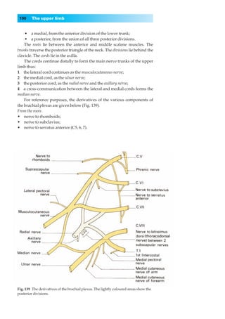 190    The upper limb


    •◊◊a medial, from the anterior division of the lower trunk;
    •◊◊a posterior, from the union of all three posterior divisions.
    The roots lie between the anterior and middle scalene muscles. The
trunks traverse the posterior triangle of the neck. The divisions lie behind the
clavicle. The cords lie in the axilla.
    The cords continue distally to form the main nerve trunks of the upper
limb thus:
1◊◊the lateral cord continues as the musculocutaneous nerve;
2◊◊the medial cord, as the ulnar nerve;
3◊◊the posterior cord, as the radial nerve and the axillary nerve;
4◊◊a cross-communication between the lateral and medial cords forms the
median nerve.
    For reference purposes, the derivatives of the various components of
the brachial plexus are given below (Fig. 139).
From the roots
•◊◊nerve to rhomboids;
•◊◊nerve to subclavius;
•◊◊nerve to serratus anterior (C5, 6, 7).




Fig. 139◊The derivatives of the brachial plexus. The lightly coloured areas show the
posterior divisions.
 