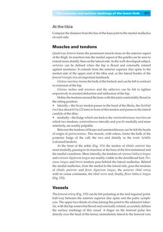 The anatomy and surface markings of the lower limb                      211



At the tibia
Compare the distance from the line of the knee joint to the medial malleolus
on each side.


Muscles and tendons
Quadriceps femoris forms the prominent muscle mass on the anterior aspect
of the thigh; its insertion into the medial aspect of the patella can be seen to
extend more distally than on the lateral side. In the well-developed subject,
sartorius can be deﬁned when the hip is ﬂexed and externally rotated
against resistance. It extends from the anterior superior iliac spine to the
medial side of the upper end of the tibia and, as the lateral border of the
femoral triangle; it is an important landmark.
    Gluteus maximus forms the bulk of the buttock and can be felt to contract
in extension of the hip.
    Gluteus medius and minimus and the adductors can be felt to tighten
respectively in resisted abduction and adduction of the hip.
    Deﬁne the tendons around the knee with this joint comfortably ﬂexed in
the sitting position:
•◊◊laterally— the biceps tendon passes to the head of the ﬁbula, the iliotibial
tract lies about 0.5 in (12 mm) in front of this tendon and passes to the lateral
condyle of the tibia;
•◊◊medially—the bulge which one feels is the semimembranosus insertion on
which two tendons, semitendinosus laterally and gracilis medially and more
anteriorly, are readily palpable.
    Between the tendons of biceps and semitendinosus can be felt the heads
of origin of gastrocnemius. This muscle, with soleus, forms the bulk of the
posterior bulge of the calf; the two end distally in the tendo Achillis
(calcaneal tendon).
    At the front of the ankle (Fig. 151) the tendon of tibialis anterior lies
most medially, passing to its insertion at the base of the ﬁrst metatarsal and
the medial cuneiform. More laterally, the tendons of extensor hallucis longus
and extensor digitorum longus are readily visible in the dorsiﬂexed foot. Per-
oneus longus and brevis tendons pass behind the lateral malleolus. Behind
the medial malleolus, from the medial to the lateral side, pass the tendons
of tibialis posterior and ﬂexor digitorum longus, the posterior tibial artery
with its venae comitantes, the tibial nerve and, ﬁnally, ﬂexor hallucis longus
(Fig. 152).


Vessels
The femoral artery (Fig. 153) can be felt pulsating at the mid-inguinal point,
half-way between the anterior superior iliac spine and the pubic symph-
ysis. The upper two-thirds of a line joining this point to the adductor tuber-
cle, with the hip somewhat ﬂexed and externally rotated, accurately deﬁnes
the surface markings of this vessel. A ﬁnger on the femoral pulse lies
directly over the head of the femur, immediately lateral to the femoral vein
 