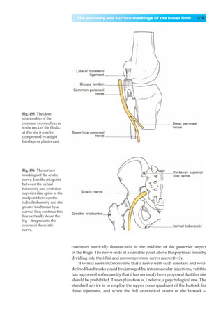 The anatomy and surface markings of the lower limb                   215




Fig. 155◊The close
relationship of the
common peroneal nerve
to the neck of the ﬁbula;
at this site it may be
compressed by a tight
bandage or plaster cast.




Fig. 156◊The surface
markings of the sciatic
nerve. Join the midpoint
between the ischial
tuberosity and posterior
superior iliac spine to the
midpoint between the
ischial tuberosity and the
greater trochanter by a
curved line; continue this
line vertically down the
leg—it represents the
course of the sciatic
nerve.



                              continues vertically downwards in the midline of the posterior aspect
                              of the thigh. The nerve ends at a variable point above the popliteal fossa by
                              dividing into the tibial and common peroneal nerves respectively.
                                  It would seem inconceivable that a nerve with such constant and well-
                              deﬁned landmarks could be damaged by intramuscular injections, yet this
                              has happened so frequently that it has seriously been proposed that this site
                              should be prohibited. The explanation is, I believe, a psychological one. The
                              standard advice is to employ the upper outer quadrant of the buttock for
                              these injections, and when the full anatomical extent of the buttock —
 